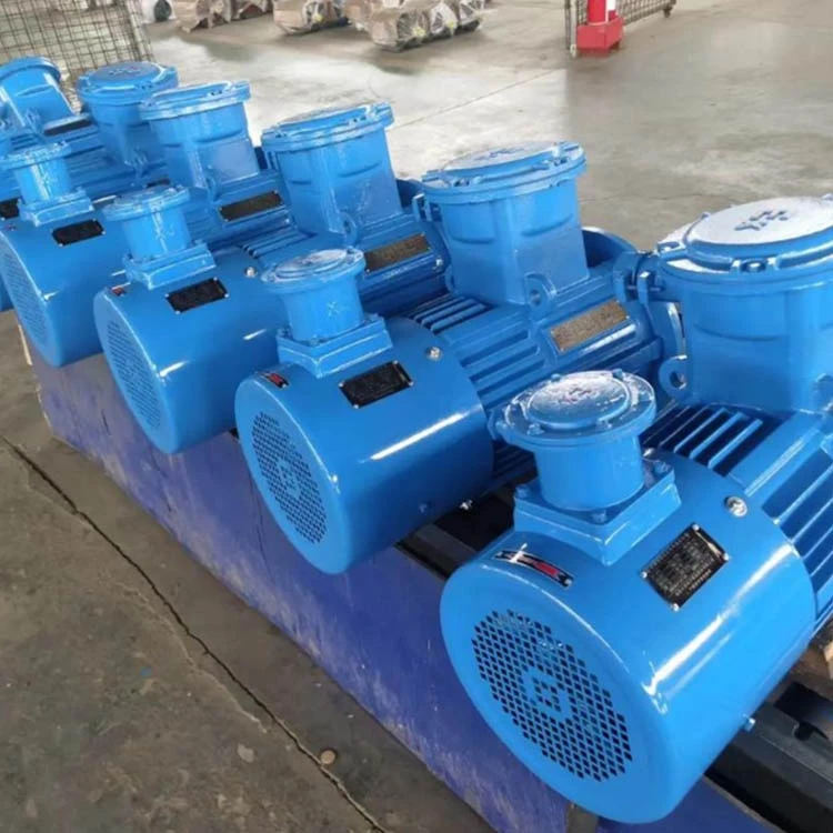 Variable frequency explosion proof motor6 Variable frequency explosion proof motor6